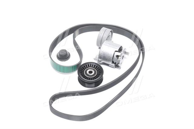 Ремінь поліклиновий, комплект RENAULT/DACIA 117207538R