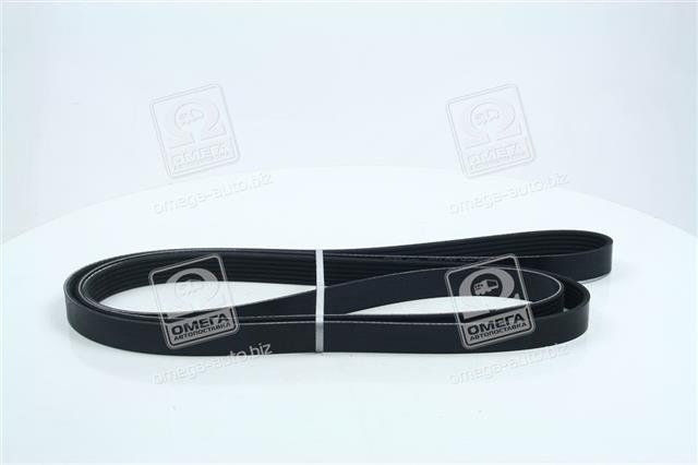 DAYCO 6PK2400
