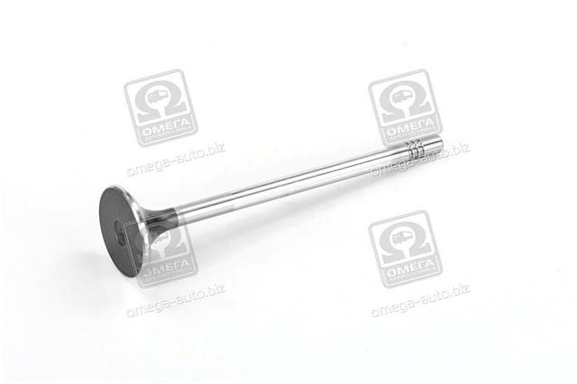 Ssangyong 6650500427
