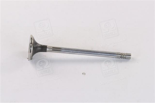 Ssangyong 6710530127